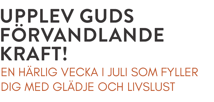 rubrik-mirakelkonferensen-2019