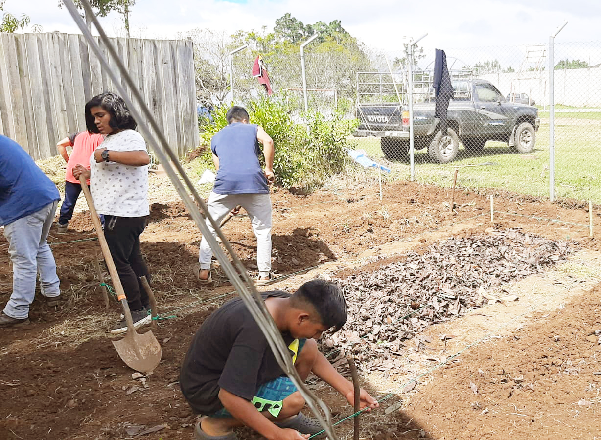 Odlingar Life Home Guatemala
