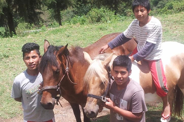 Pojkar med hästar Guatemala city